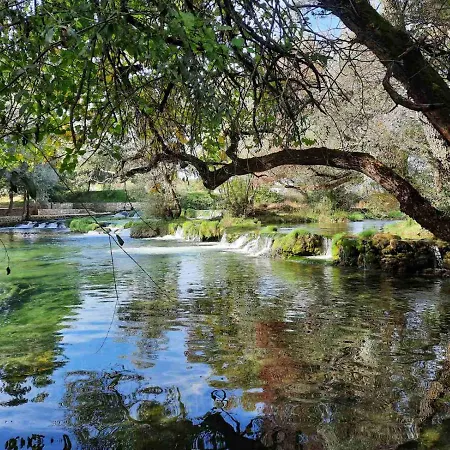 דירה River